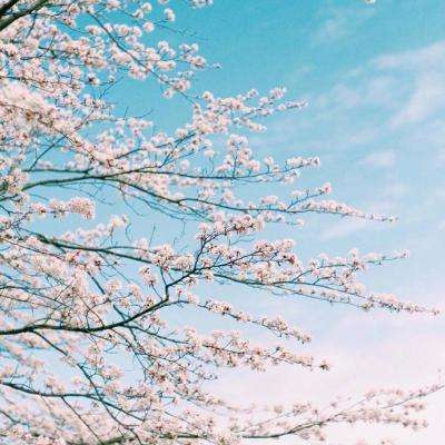 半岛综合娱乐app